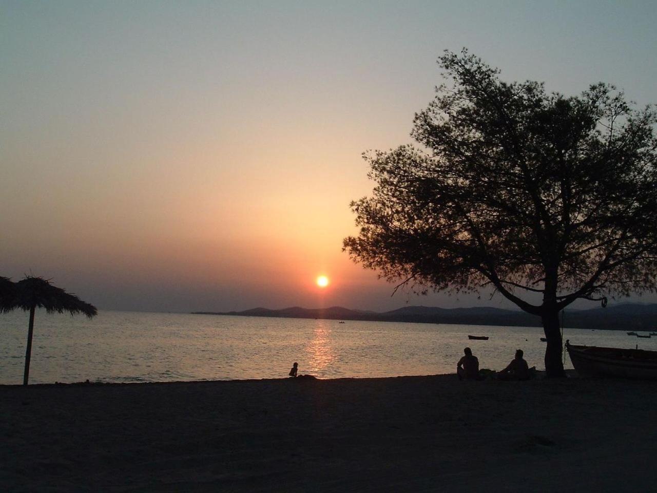 Finikas Garden Beach Resort Nikiti Dış mekan fotoğraf