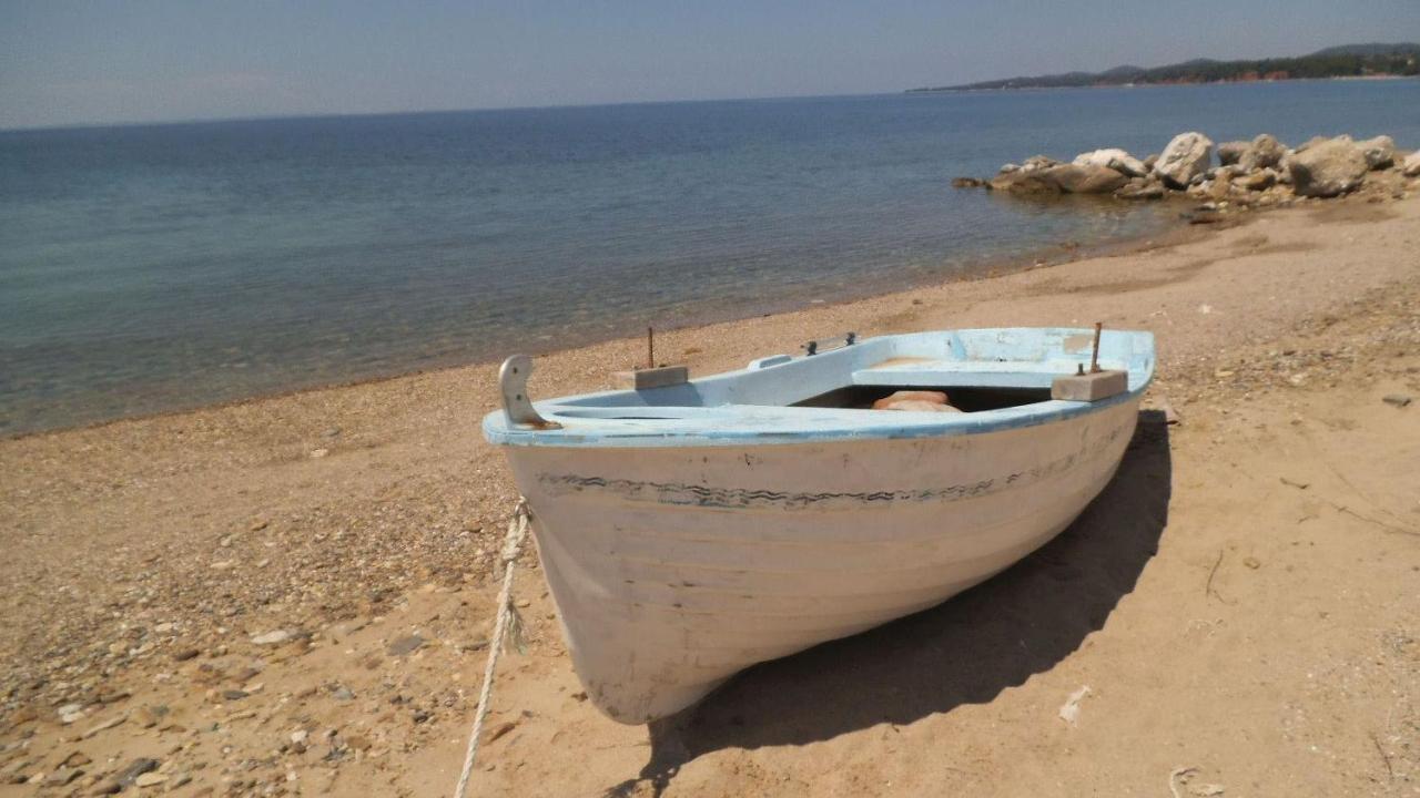 Finikas Garden Beach Resort Nikiti Dış mekan fotoğraf